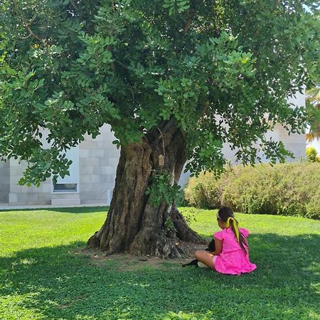 I Mestri Holiday Homes Uggiano La Chiesa Dış mekan fotoğraf